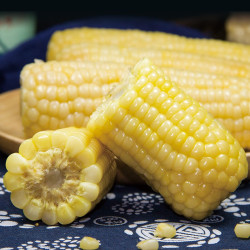 巡天上谷 甜糯玉米  200g-260g  10支