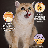 比瑞吉全价成猫幼猫猫粮冻干肉六种鱼增肥发腮全期猫粮8kg*2