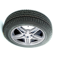 Giti 佳通轮胎 GitiWinter 230 汽车轮胎 经济耐磨型 195/60R16 89T