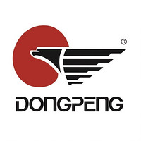 东鹏 DONGPENG