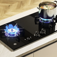 林内 安芯系列 RB-2WLGM 燃气灶家用双灶天然气炉灶防干烧灶台