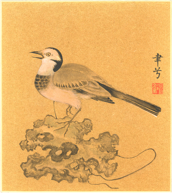 朶雲軒 胡韶光 海派花鸟小品系列《梅花鹦哥图》27x24cm 金笺卡纸