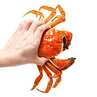 苏蟹之王 大闸蟹公3.7-4.0两/母2.7-3.0两4对8只鲜活现货实物 螃蟹礼盒 海鲜水产