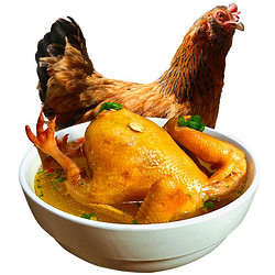 百年栗园 买一只送一只 百年栗园 土鸡老母鸡生鲜鸡肉杀前约3斤/只 散养柴鸡500天走地鸡