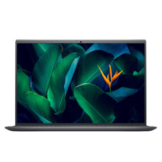 DELL 戴尔 成就 5310 十一代酷睿版 13.3英寸 轻薄本 橄榄灰 (酷睿i5-11320H、核芯显卡、16GB、512GB SSD、2.5K、60Hz、R2608N)