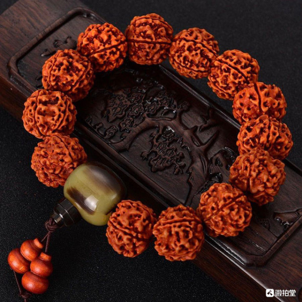 夹珠尼泊尔金刚手串20mm五瓣金刚菩提13颗