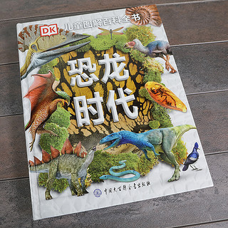 《DK儿童图解百科全书·恐龙时代》（精装）