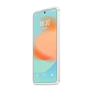 MEIZU 魅族 18X 5G手机 12GB+256GB 禅