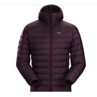 ARC'TERYX 始祖鸟 Cerium LT系列 男款连帽羽绒服