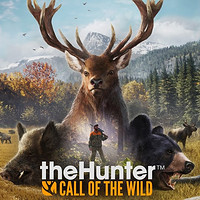 《猎人：荒野的召唤》PC中文数字版游戏