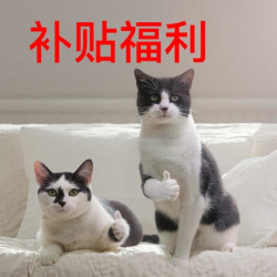 唯品会鞋款参与补贴，这福利我不允许你不知道！！！