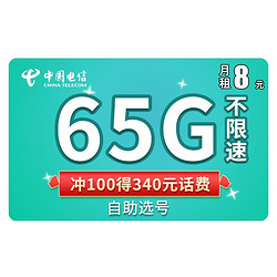 CHINA TELECOM 中国电信 4g纯上网无限流量大王月租不限速 玉兔卡8元（65G流量+300通话）
