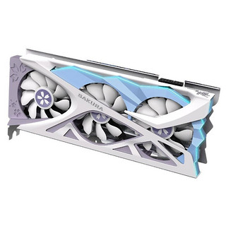 yeston 盈通 RX 6700XT 樱瞳花嫁纪念版 显卡 12GB 白色+锐龙R5-5600X 处理器