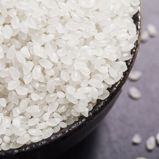 天缘道 雪地长粒香米 工厂直发 方正大米  东北大米5kg 稻可道臻选东北大米（编包）5kg