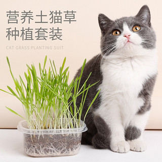 宠福记 猫薄荷 猫零食猫草种植套装去毛球化毛膏成猫幼猫营养天然