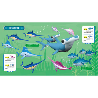 《海底小纵队·幼儿专注力养成纸板书：动物在哪里》（精装）