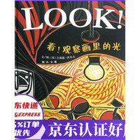 看观察画里的光(精)
