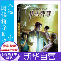 非法智慧/霹雳贝贝之父金品集