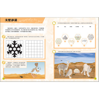 《贝尔带你学生存·能力培养游戏书：第二辑》（套装共8册）