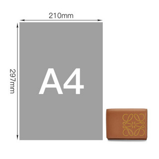 罗意威 LOEWE SS21春夏款 女士三折短款钱夹钱包 C500TR2X01 7658 棕褐色/赭色 奢侈品 礼物女