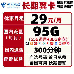 CHINA TELECOM 中国电信 29包95G全国流量+300分钟 不限速长期套餐 可选号