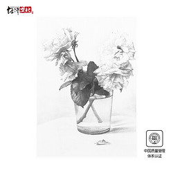 绍泽文化 8K素描纸 160G 20页/袋 专业美术绘画速写专用纸