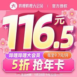 bilibili 哔哩哔哩 大会员12个月年卡