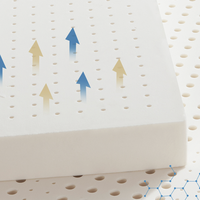 NITTAYA 泰国原装进口天然乳胶床垫1米8双人床垫