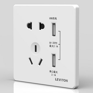 美国立维腾（LEVITON） 开关插座面板 USB五孔插座 家用墙壁插座面板多孔 二三5孔五孔插座 五孔插座带USB插座