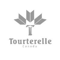 Tourterelle/北美斑鸠