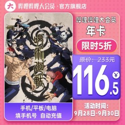 bilibili 哔哩哔哩 大会员12个月年卡