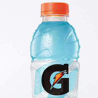 GATORADE 佳得乐 运动饮料 蓝莓味 600ml*15瓶