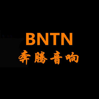 BNTN/奔腾