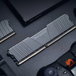 Asgard 阿斯加特 洛极 T2 DDR4 3200MHz 台式机内存 马甲条 黑色 16GB 8GB*2