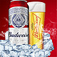 Budweiser 百威 淡色拉格 听装百威啤酒 450ml*20听装整箱（老版+世界杯版随机发货）