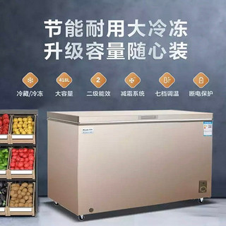 美菱（MELING）BC/BD-418DTX   418升卧式冰柜商用 大容量冷藏冷冻转换冷柜