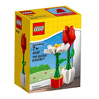 LEGO 乐高 Creator创意百变高手系列 40187 花朵