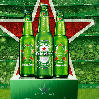 Heineken 喜力 经典啤酒 500ml*12瓶*4箱