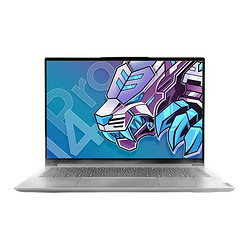 Lenovo 联想 小新Pro14 2021款 14英寸笔记本i5-11320H 16+512 90hz高刷版