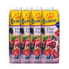 CYPRINA 塞浦丽娜 8种红色水果果汁 1L*4盒