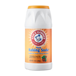 ARM&HAMMER 艾禾美 小苏打粉摇摇瓶