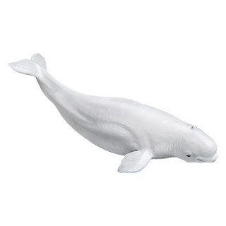 PNSO 白鲸海力动物园成长陪伴模型15