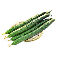 家美舒达 山东特产 带刺黄瓜 750g 长黄瓜 健康轻食 新鲜蔬菜
