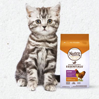 Nutro 美士 全护营养系列 鸡肉糙米幼猫猫粮 2.27kg