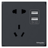 Schneider Electric 施耐德电气 皓呈系列 A3T42610U2_DG_C1 五孔带双USB插座 雅致黑