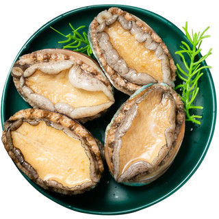 XYXT 虾有虾途 鲍鱼 8头 500g