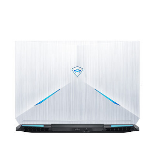 MACHENIKE 机械师 F117-V 15.6英寸 银色 (酷睿i7-10750H、RTX 2060 6G、16GB、256GB SSD+1TB HDD、1080P、IPS、144Hz）