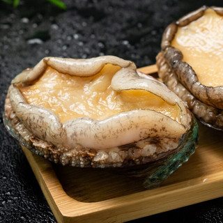 XYXT 虾有虾途 鲍鱼 8头 500g