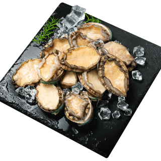 XYXT 虾有虾途 鲍鱼 8头 500g