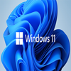 windows11